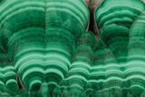 Polished Malachite Slab - Congo #194327-1